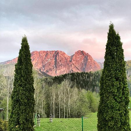 Zolta Turnia Appartamento Zakopane Esterno foto